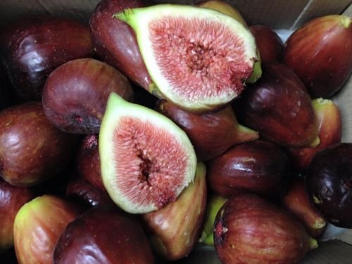 Caloundra Fruit & Veg Market - thumb 2