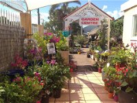 Peregian Garden Centre - Adwords Guide