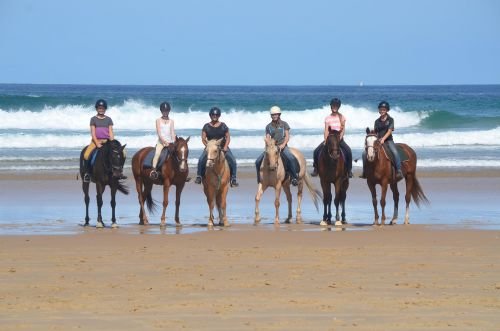 Causeway Equestrian - Australian Directory