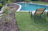 Waterwise Turf - Click Find