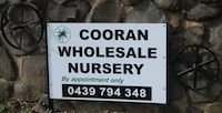 Cooran Wholesale Nursery - Adwords Guide