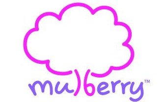 Mulberry Early Learning Centre - Brisbane Child Care 0