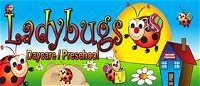 Ladybugs Daycare / Preschool  - Brisbane Child Care