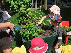 Noosaville Child Care & Pre School Centre - thumb 1