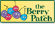 Berry Patch Preschool - Child Care Canberra