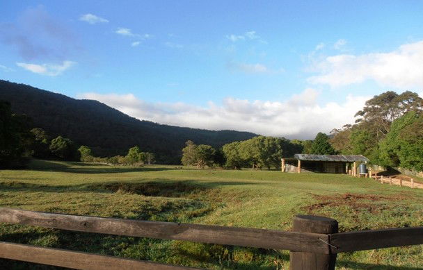 Boomi Creek NSW Church Find