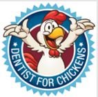 Dentists for chickens - Gold Coast Dentists
