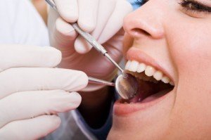 Brisbane Microsurgical Endodontics - thumb 2