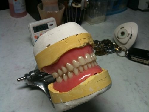 Castlecrag NSW Dentist in Melbourne