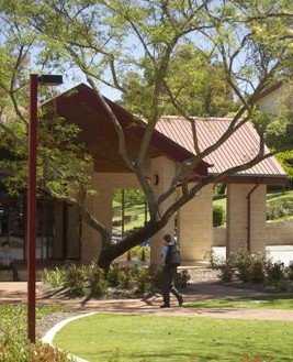 Newman College - Marcellin Campus - Melbourne Private Schools 3