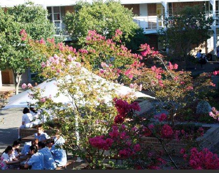 Moriah College - Canberra Private Schools 1