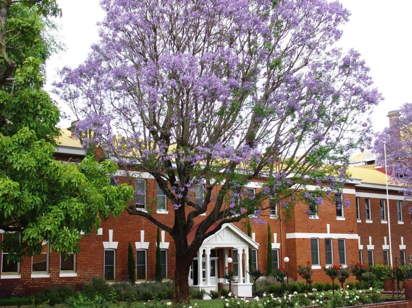 Perth College - Schools Australia 2
