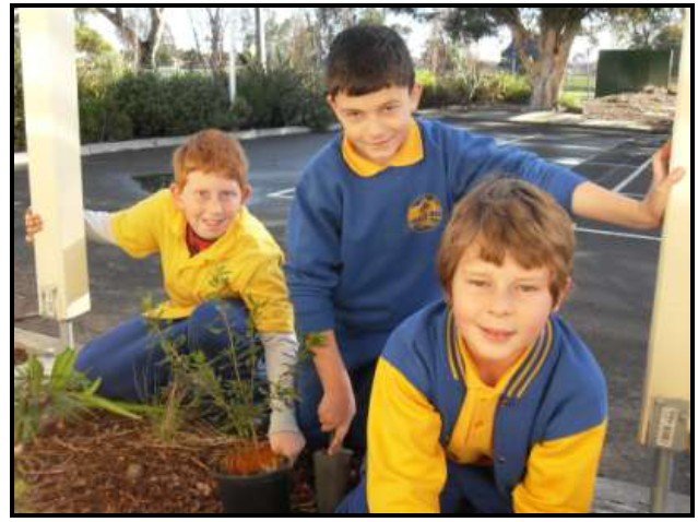 Avondale Primary School - Schools Australia 1