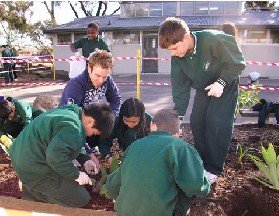 St Albans North Primary School - Melbourne Private Schools 2