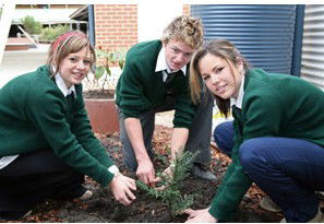 Aquinas College Ringwood - thumb 2