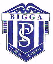 Bigga Public School