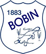 Bobin Public School