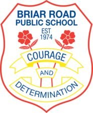 Briar Road Public School - Education Perth