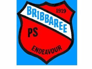 Bribbaree Public School - Perth Private Schools
