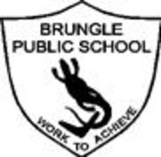 Brungle Public School