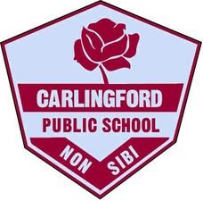 Carlingford Public School - thumb 0