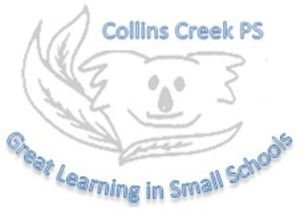 Collins Creek Public School