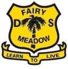 Fairy Meadow Public School - Perth Private Schools