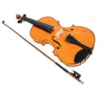 Violin Sports - Melbourne School