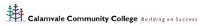Calamvale Community College  - Education Perth