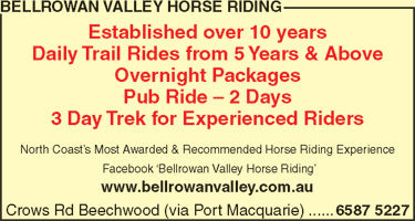 Bellrowan Valley Horse Riding - thumb 4