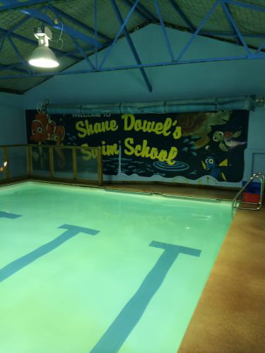 Shane Dowel's Swim School - thumb 3