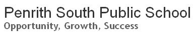 Penrith South Public School - Perth Private Schools