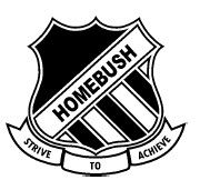Homebush Public School - Schools Australia