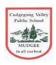 Cudgegong Valley Public School