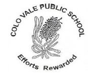 Colo Vale Public School - Education Perth