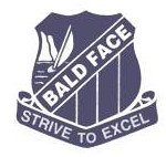 Bald Face Public School Blakehurst