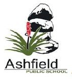 Ashfield Public School - Melbourne School