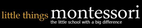 Little Things Montessori - thumb 0