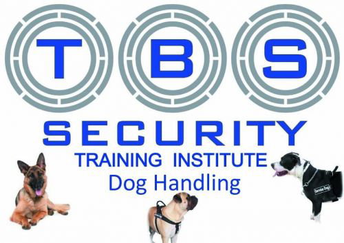 TBS Security Training - thumb 1