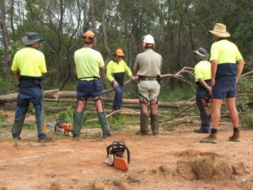 Steve Smith Chainsaw Training - Adelaide Schools 2