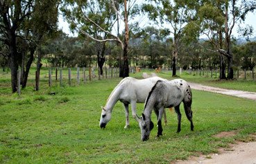 Alkoomi Outback Skills Farm - Education NSW 1