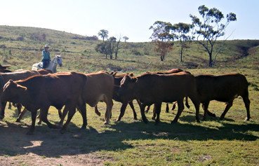 Alkoomi Outback Skills Farm - Education NSW 3