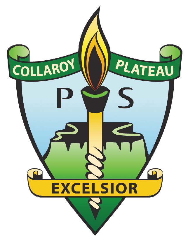 Collaroy Plateau Public School - Melbourne School