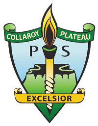 Collaroy Plateau Public School - Education Directory