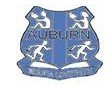 Auburn Public School