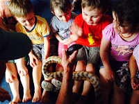 Little Hands Preschool  Long Day Care - Schools Australia