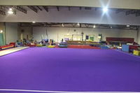 Scallywaggs Gymnastics - Education WA