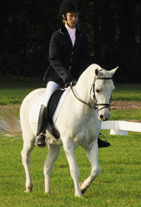 Encantador The Riding School - Australia Private Schools