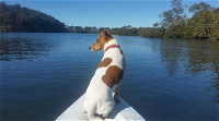 Australis Canoes  Kayaks - Education WA