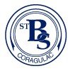 St Brendans School Coragulac - Education WA